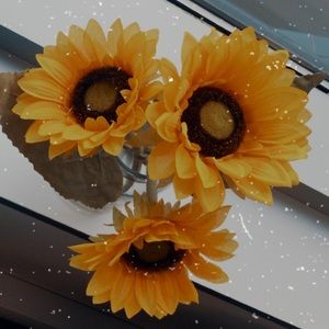 Meet your Posher, Audrey